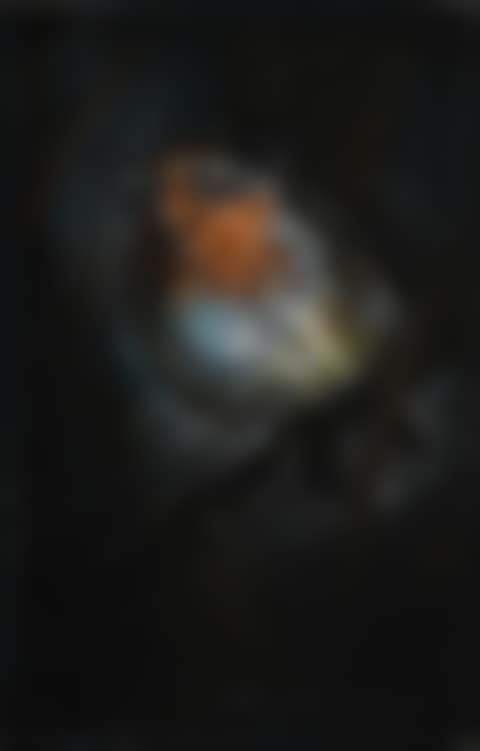 Robin Red Breast (preview)