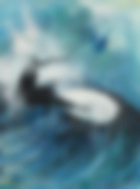 Surfing the Waves (preview)