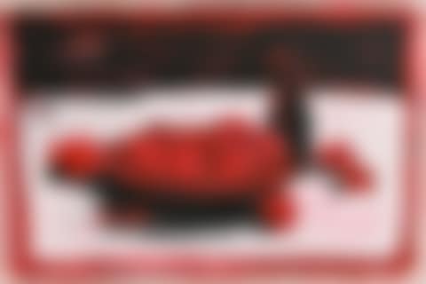 Still Life on Tabletop (preview)