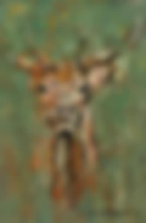 Stag (preview)