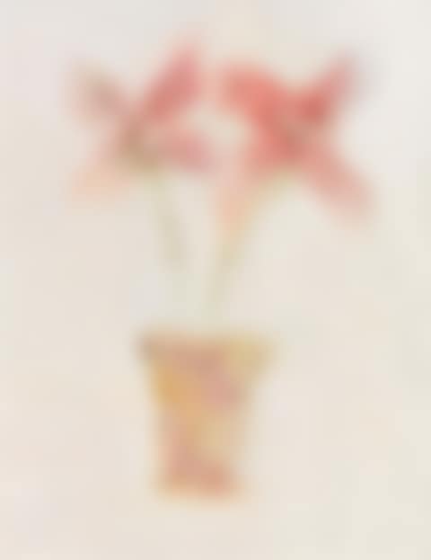 Orchids (preview)