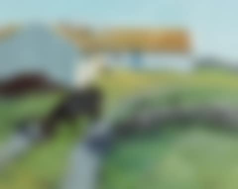 Thatching Ballyconneey, Roundstone (preview)