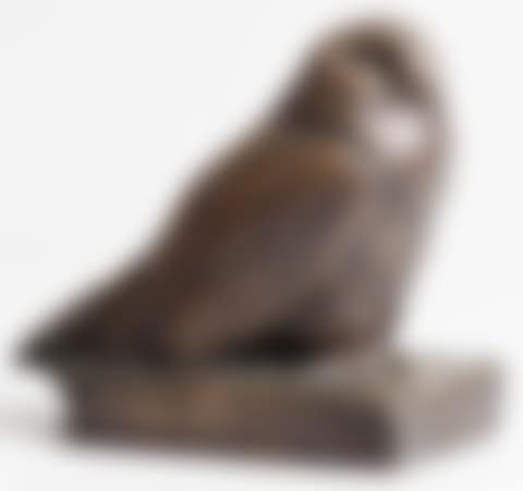 Snowy Owl (preview)