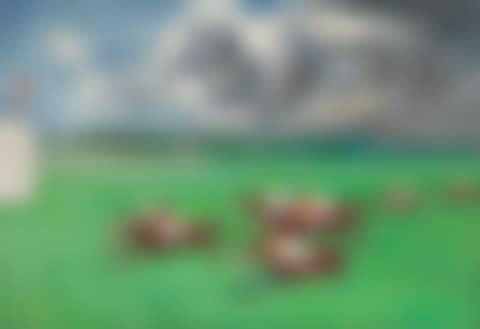 Les Courses or Blue Grass Races (preview)