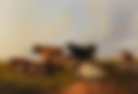 Cattle grazing in a meadow (preview)