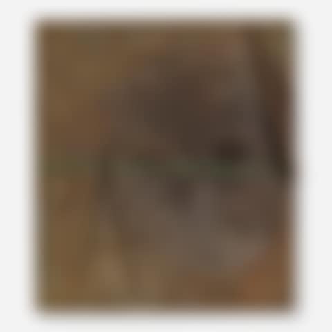 Plaque (preview)