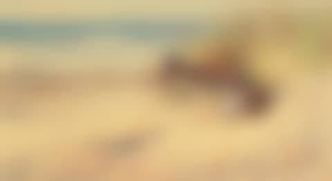 Jack Snipe in the dunes (preview)
