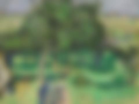 Paysage, arbres fruitiers (preview)