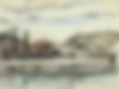 Usines sur le bord de Meuse à Huy (preview)