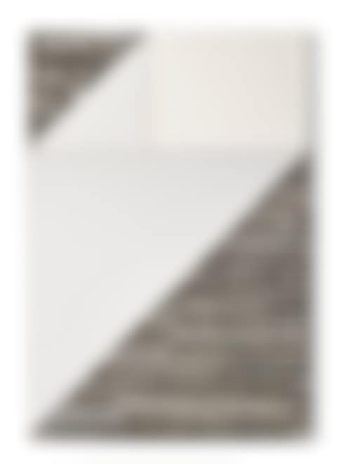 Immagine Trasversale (preview)