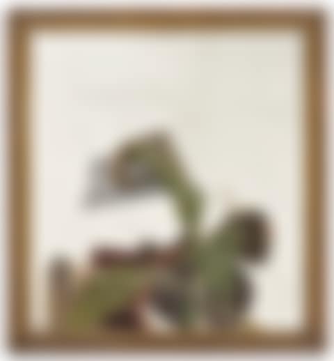 Plant Fragment (preview)