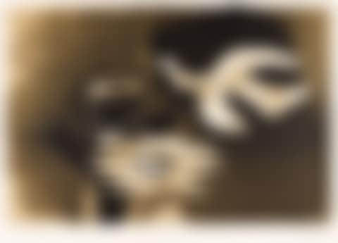 L"Oiseau et son Nid. (preview)