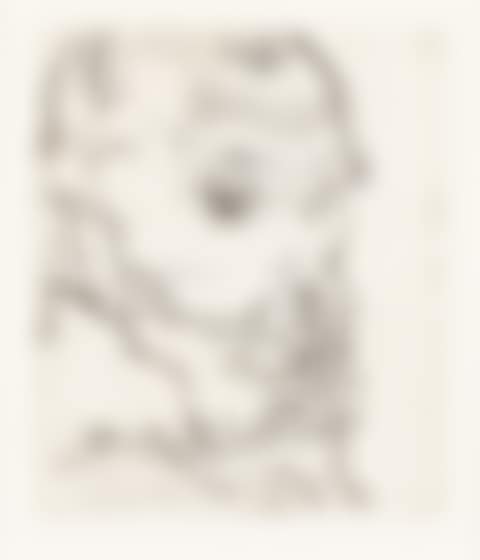 Bildnis Franz Hauer . (preview)