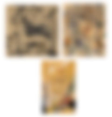 (i) Untitled; (ii) Untitled; (iii) Untitled (preview)