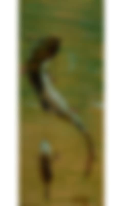 Ohio River Catfish (preview)