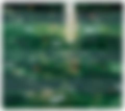 POND EDGE V (REFLECTIONS) (preview)