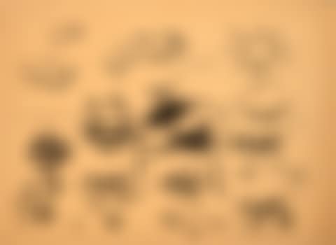 Tweety Bird"s Cow (preview)