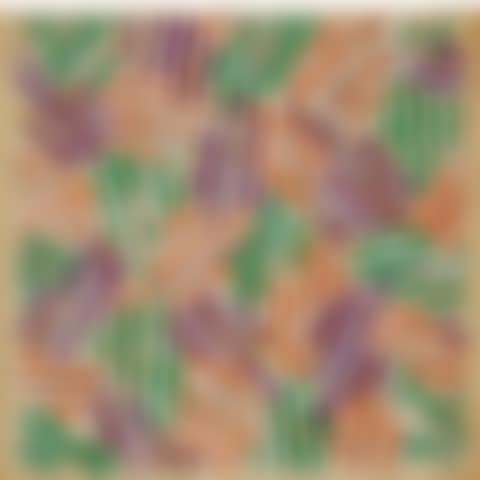 UNTITLED (UNIVERSAL LIMITED ART EDITIONS S13) (preview)