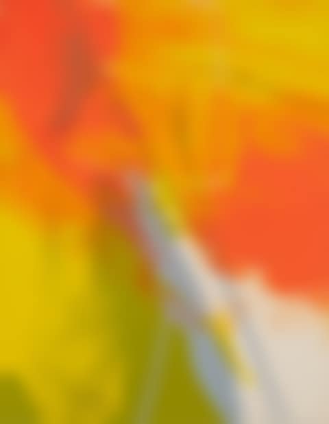 UNTITLED (preview)