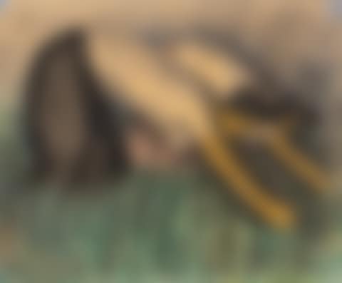 Untitled (Women Working in a Field) (preview)