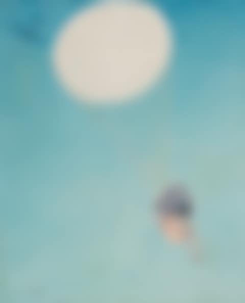 Plein Ciel (preview)
