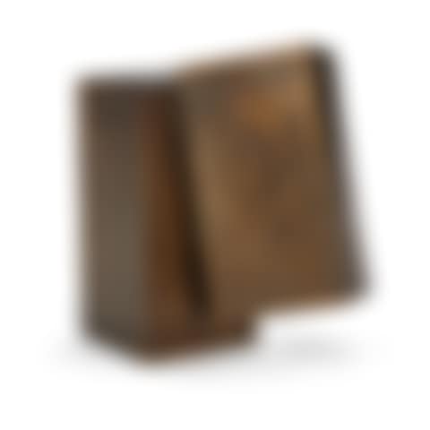 The National Book Award for Fiction (preview)