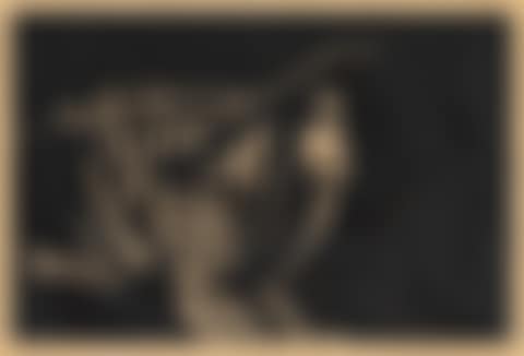 IMPERISHABLE (BURNE JONES 16) (preview)