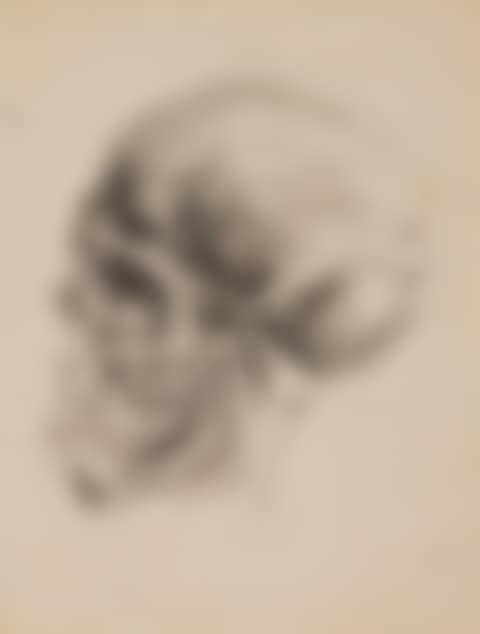 Skull in Profile (preview)