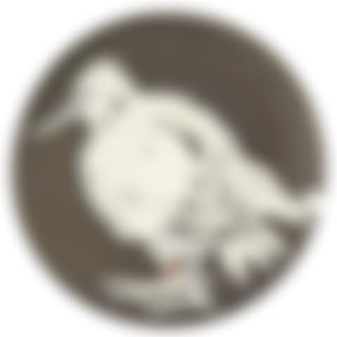 BIRD NO. 76 (A.R. 481) (preview)