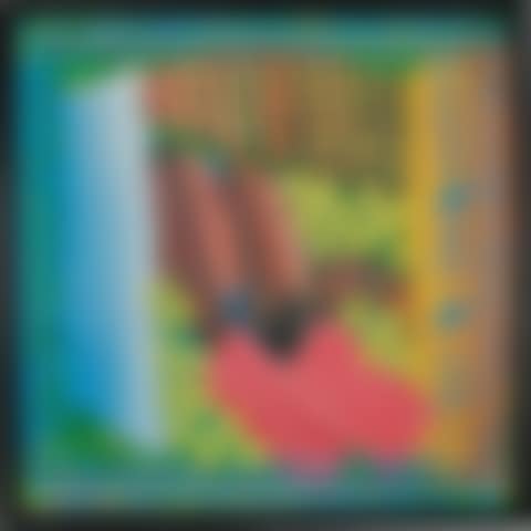 RED BERMUDAS (H. P. 223) (preview)