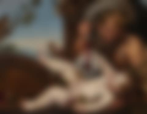 A Satyr with the Infant Bacchus (preview)