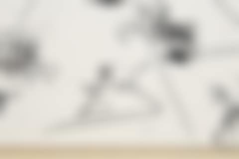 The Tienta (preview)