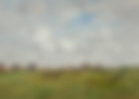 Environs de Berck (preview)