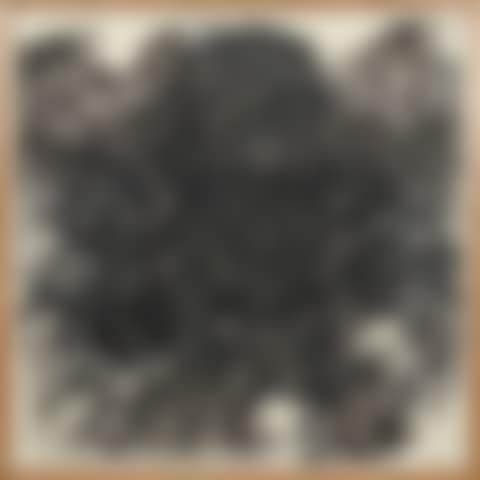 UNTITLED (HAIR) (WEITMAN 43) (preview)