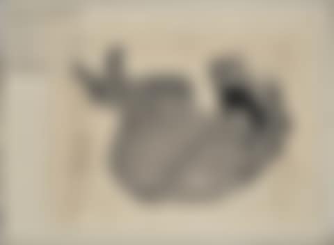 FREE FALL (W. 65) (preview)