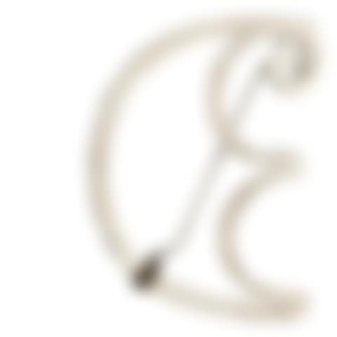 C.E. (Pin) (preview)