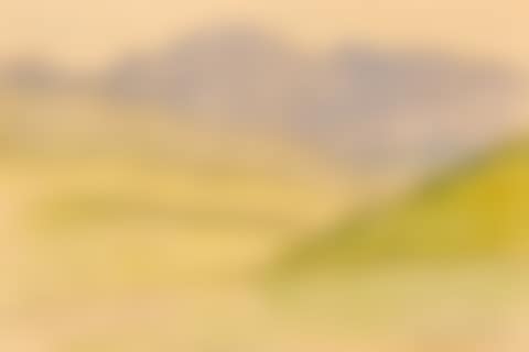 Untitled Landscape (preview)