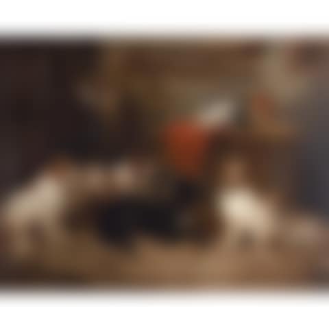 Sir Walter Scott"s Dogs (preview)