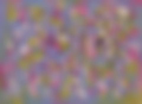 Number Twelve (preview)