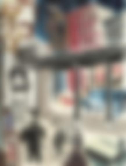 View of the Elevated Subway, New York (preview)