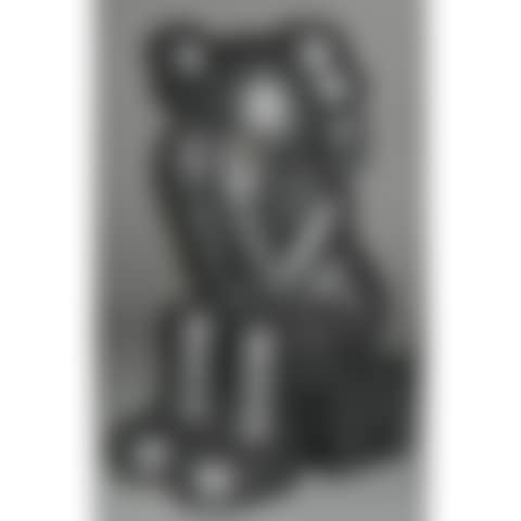 Companion (Passing Through - Black) (preview)