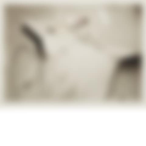 ON THE CHAMPS ELYSEES (H./C./I. 462) (preview)