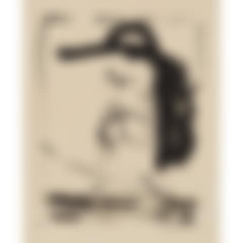 THE ROBINSON JEFFERS PRINT (B. 250; E./B. 283) (preview)