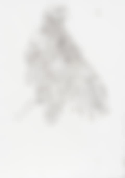Untitled (Bird) (preview)