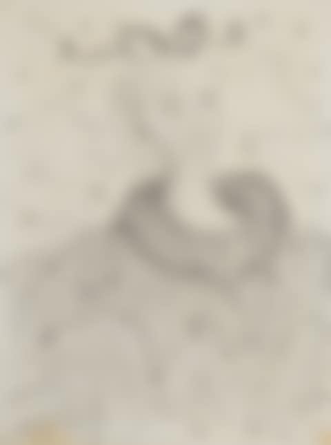 Untitled Portrait (preview)