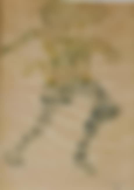 DANCER (preview)