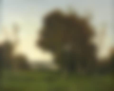 MEADOW AT SUNSET (preview)