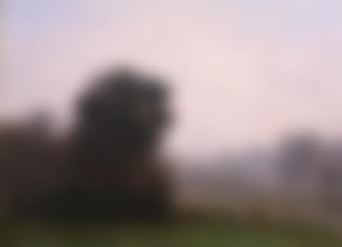A FOGGY MORNING (preview)