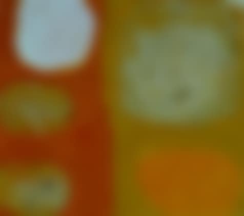 UNTITLED (preview)