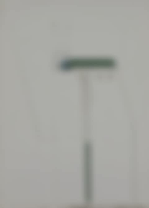 TROPHY VARIATION XII [From the Series of 12] (preview)